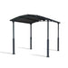 palram canopia Arcadia Alpine Carport 12x14 Cutout