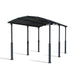 palram canopia Arcadia Alpine Carport 12x21 Cutout