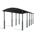 palram canopia Arcadia Alpine Carport 12x35 Cutout