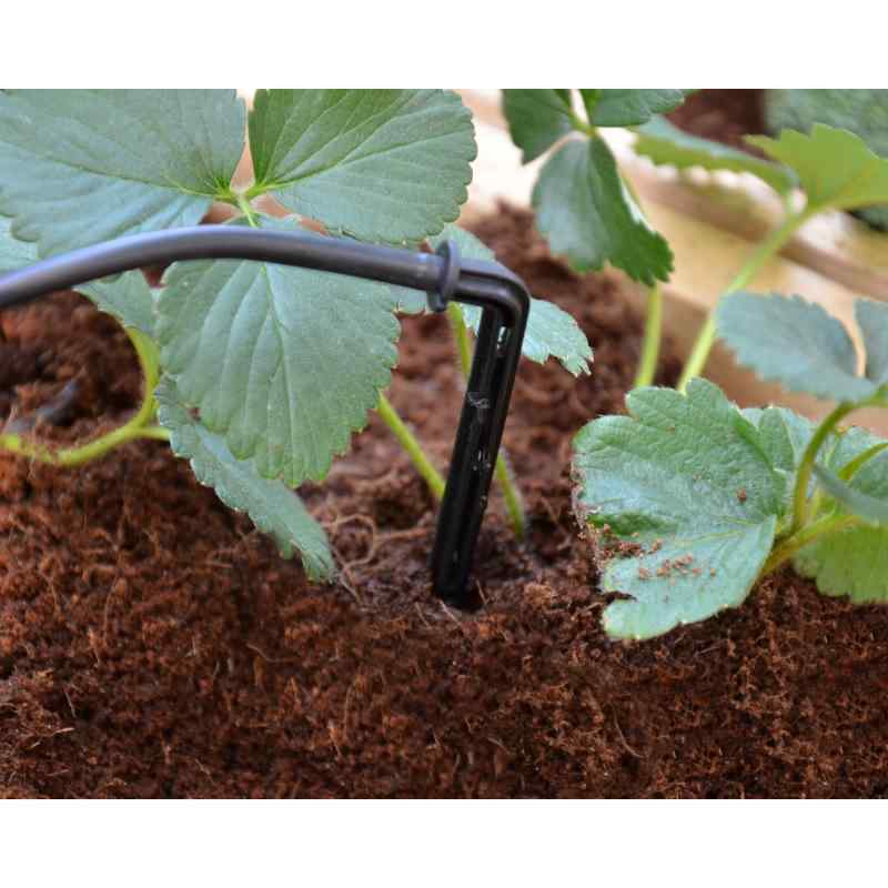 Palram - Canopia Drip Irrigation Kit