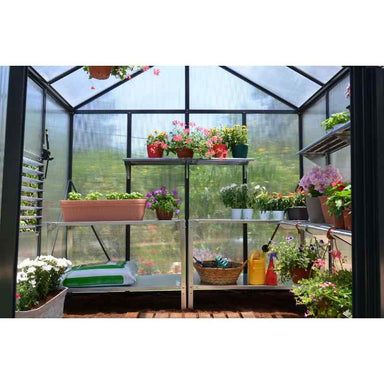 palram canopia Glory Polycarbonate Greenhouse Inside View