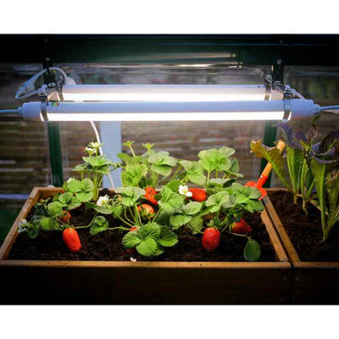 palram canopia Greenhouse Grow Light Front View