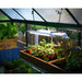 palram canopia Greenhouse Grow Light Setup Idea