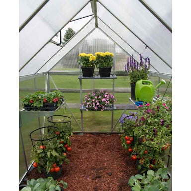 palram canopia Greenhouse Shelves Front Display