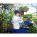 palram canopia Hybrid Garden Greenhouse Family Atmosphere