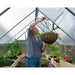 palram canopia Hybrid Garden Greenhouse Hanging Plants Closeup