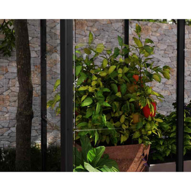palram canopia Ivy Mini Greenhouse Display View