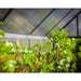 palram canopia Mythos Polycarbonate Greenhouse Inside Panel View