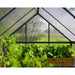 palram canopia Mythos Polycarbonate Greenhouse Inside View
