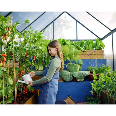 palram canopia Mythos Polycarbonate Greenhouse Tomato Display