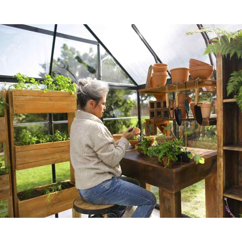 palram canopia Victory Orangery Chalet Greenhouse Plant Shelf