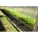 MONT Growers Greenhouse Shelves