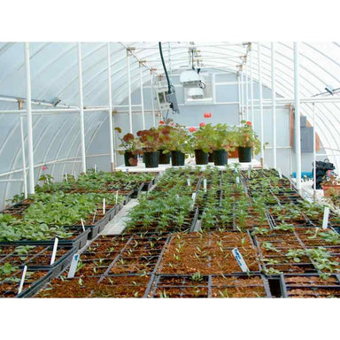 Solexx Conservatory Commercial Greenhouse Interior