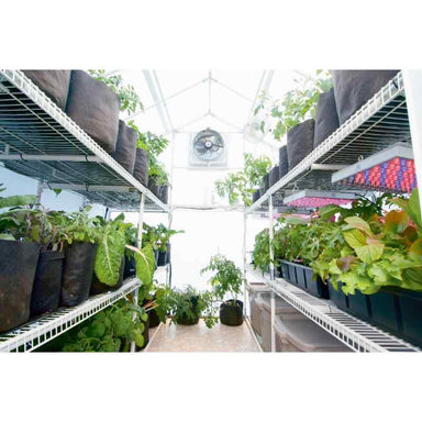 Solexx Garden Master European Style Greenhouse Inside