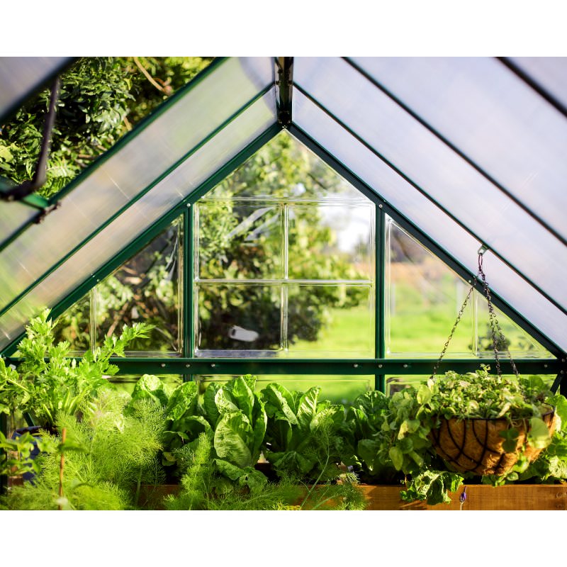 canopia-hybrid-greenhouse-inside-view-of-the-roof