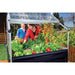 palram canopia plant inn 4x4 raised garden bed example