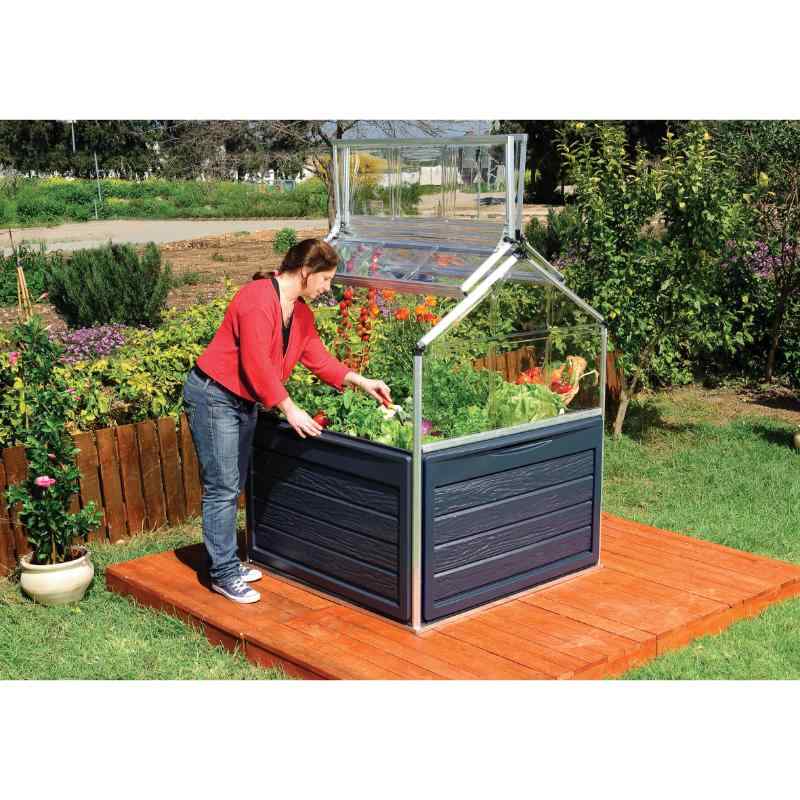 palram canopia plant inn 4x4 raised garden bed in use