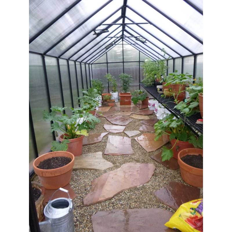 mont-greenhouse-inside-view-with-lots-of-potted-plants