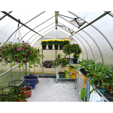 palram-bella-greenhouse-lots-of-plants-inside