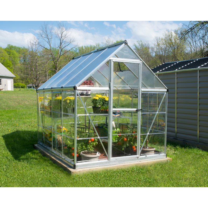 palram-hybrid-6x4-greenhouse-in-backyard