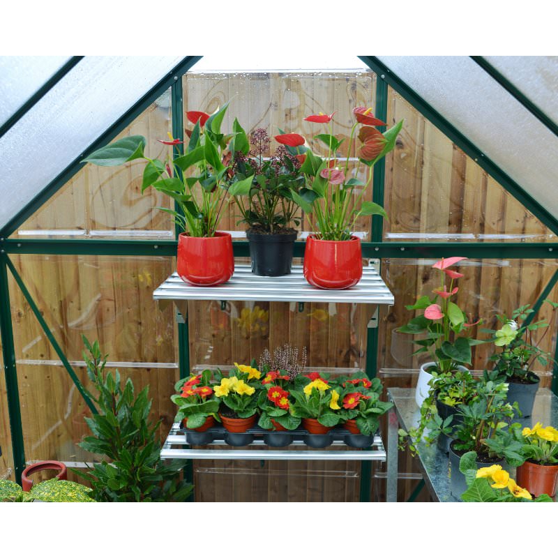 palram-hybrid-greenhouse-inside-view-plants-on-shelves