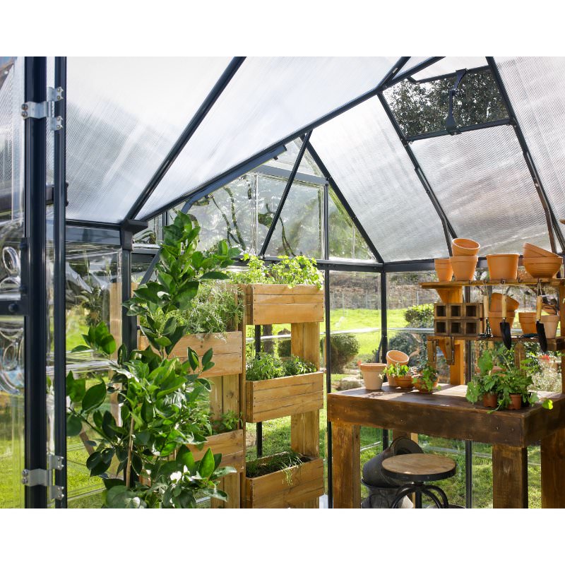 palram-orangery-greenhouse-spacious-layout-filled-with-plants