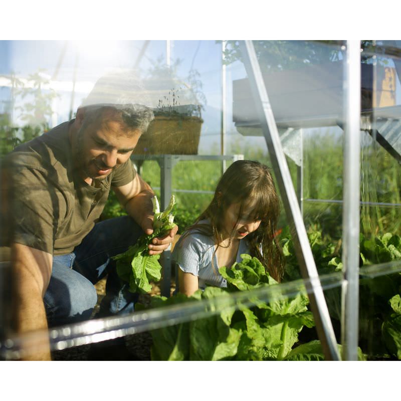 palram balance greenhouse dad and daughter gardening