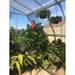 palram americana greenhouse with plants